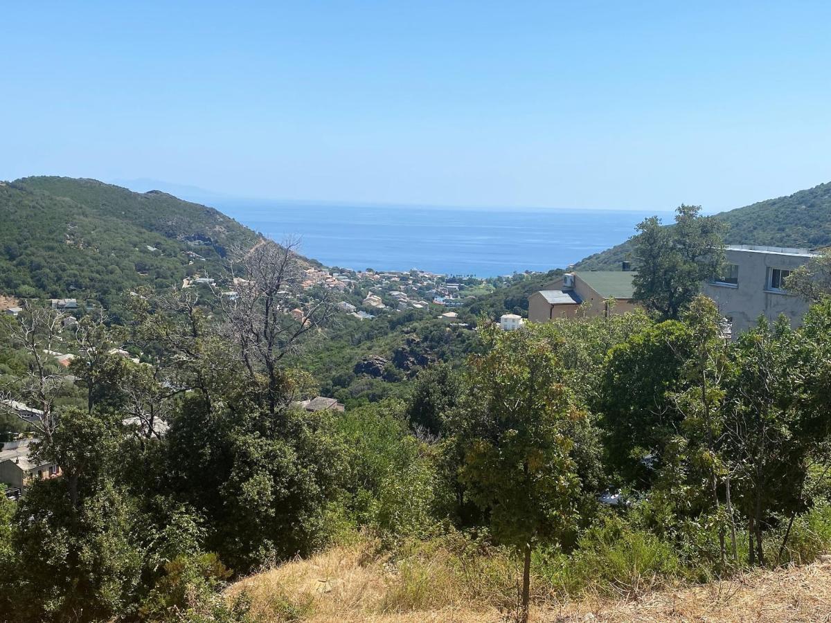 U Cavallu - Luxe Entre Mer Et Montagne Santa-Maria-di-Lota Екстериор снимка