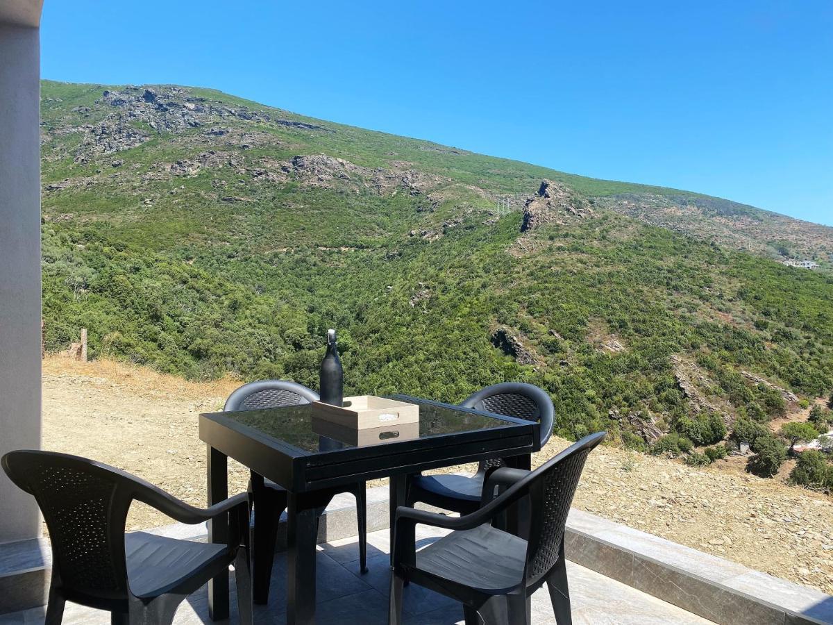 U Cavallu - Luxe Entre Mer Et Montagne Santa-Maria-di-Lota Екстериор снимка